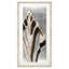 Paragon Modern Shell III Sepia 51 X 26 X 2 Wall Art