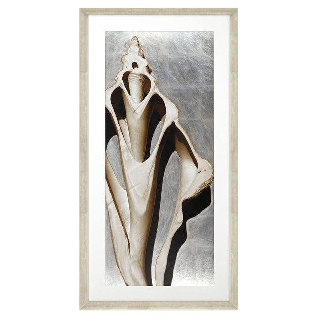 Paragon Modern Shell III Sepia 51 X 26 X 2 Wall Art