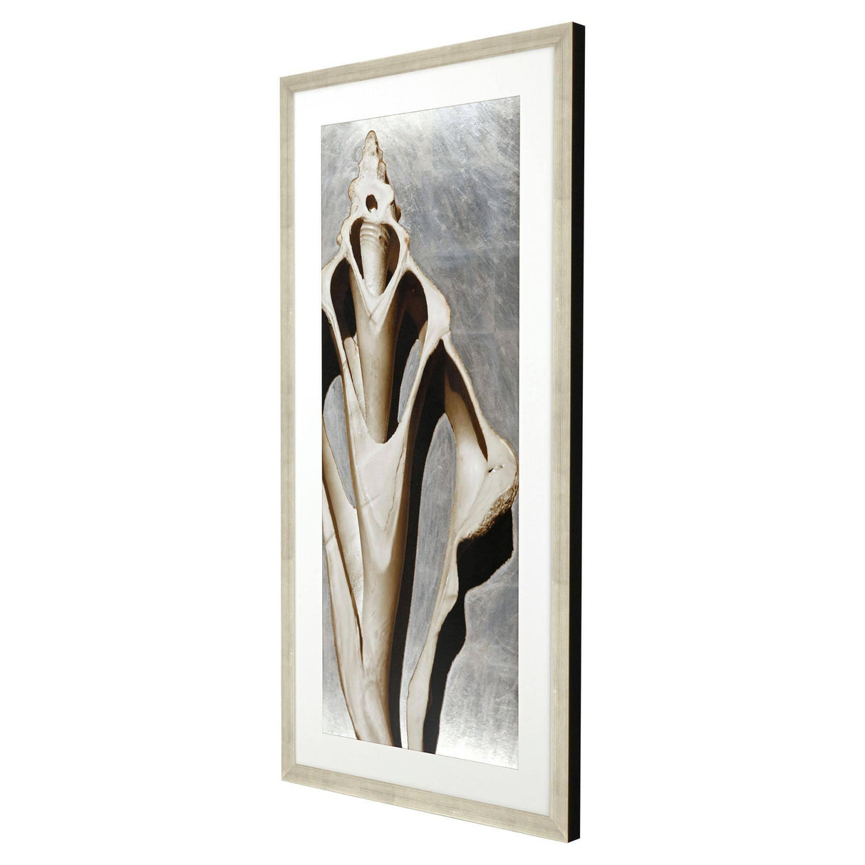 Paragon Modern Shell III Sepia 51 X 26 X 2 Wall Art