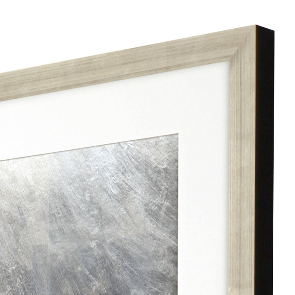 Paragon Modern Shell III Sepia 51 X 26 X 2 Wall Art