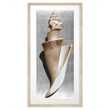 Paragon Modern Shell II Sepia 51 X 26 X 2 Wall Art