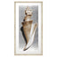 Paragon Modern Shell II Sepia 51 X 26 X 2 Wall Art