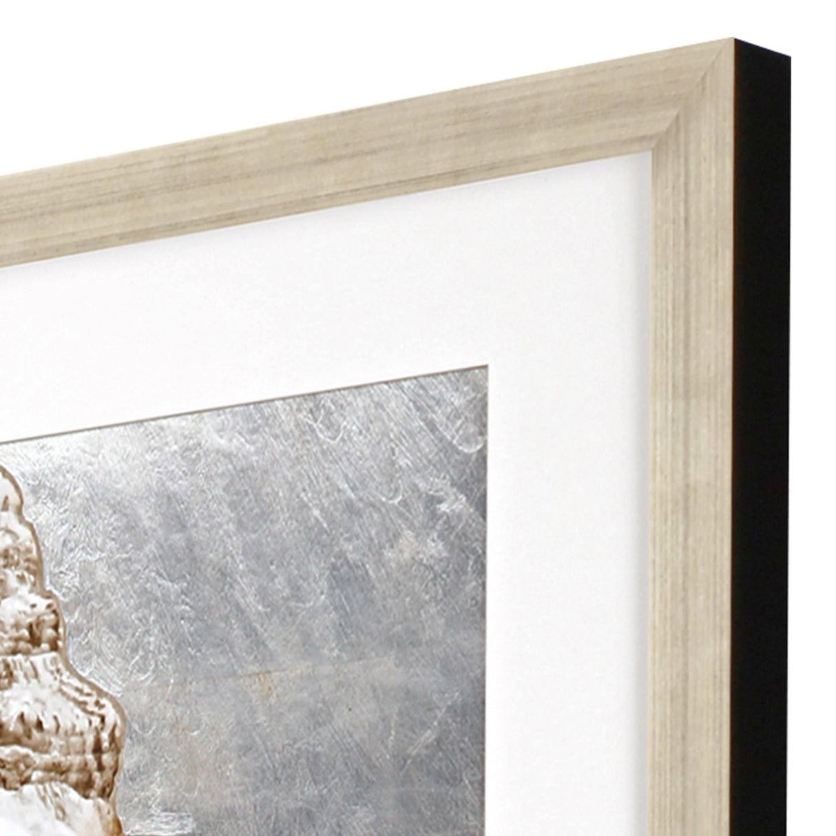Paragon Modern Shell II Sepia 51 X 26 X 2 Wall Art