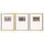 Paragon Broken Landscape I S/3 Gray 25 X 19 X 1 Wall Art