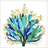 Paragon Sea Life III Blue 42 X 42 X 3 Wall Art