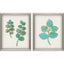 Paragon Botanical I S/2 Green 22 X 18 X 2 Wall Art