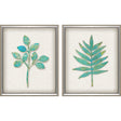 Paragon Botanical II S/2 Green 22 X 18 X 2 Wall Art