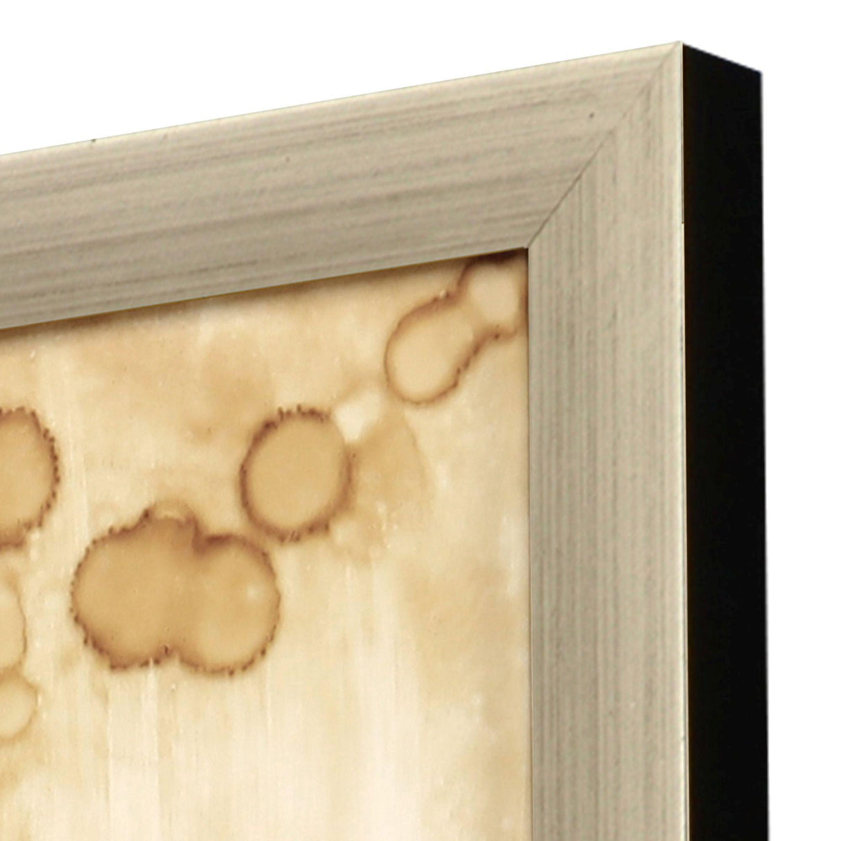 Paragon Botanical Odyssey I Green 51 X 14 X 2 Wall Art