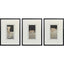 Paragon Reverie I S/3 Black 23 X 17 X 1 Wall Art