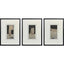 Paragon Reverie II S/3 Black 23 X 17 X 1 Wall Art