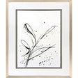 Paragon Floral Splash I Black 42 X 35 X 2 Wall Art