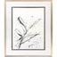 Paragon Floral Splash I Black 42 X 35 X 2 Wall Art