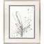 Paragon Floral Splash II Black 42 X 35 X 2 Wall Art