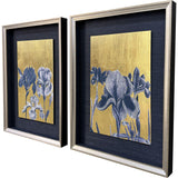 Paragon Blue Iris II S/2 Blue 26 X 20 X 2 Wall Art