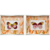 Paragon Flight Patterns I S/2 Orange 16 X 20 X 3 Wall Art