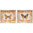Paragon Flight Patterns II S/2 Orange 16 X 20 X 3 Wall Art