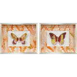 Paragon Flight Patterns II S/2 Orange 16 X 20 X 3 Wall Art