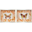Paragon Flight Patterns II S/2 Orange 16 X 20 X 3 Wall Art