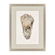 Paragon Crassostrea Virginica II Neutral 41 X 31 X 2 Wall Art