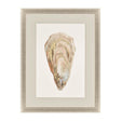 Paragon Crassostrea Virginica IV Neutral 41 X 31 X 2 Wall Art