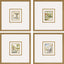 Paragon Fountains II S/4 Multi 17 X 16 X 2 Wall Art