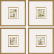 Paragon Fountains I S/4 Multi 17 X 16 X 2 Wall Art