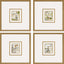 Paragon Fountains I S/4 Multi 17 X 16 X 2 Wall Art