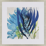 Paragon Sea Nature II Blue 41 X 41 X 2 Wall Art