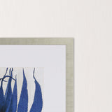 Paragon Sea Nature II Blue 41 X 41 X 2 Wall Art