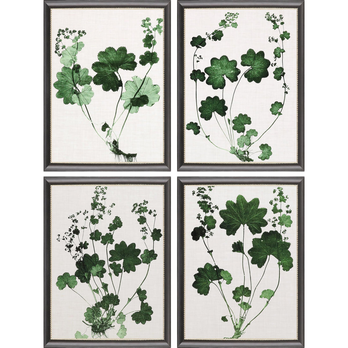 Paragon Forest Foliage S/4 Green 26 X 20 X 1 Wall Art