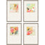 Paragon Pastel Splash S/4 Multi 21 X 15 X 1 Wall Art
