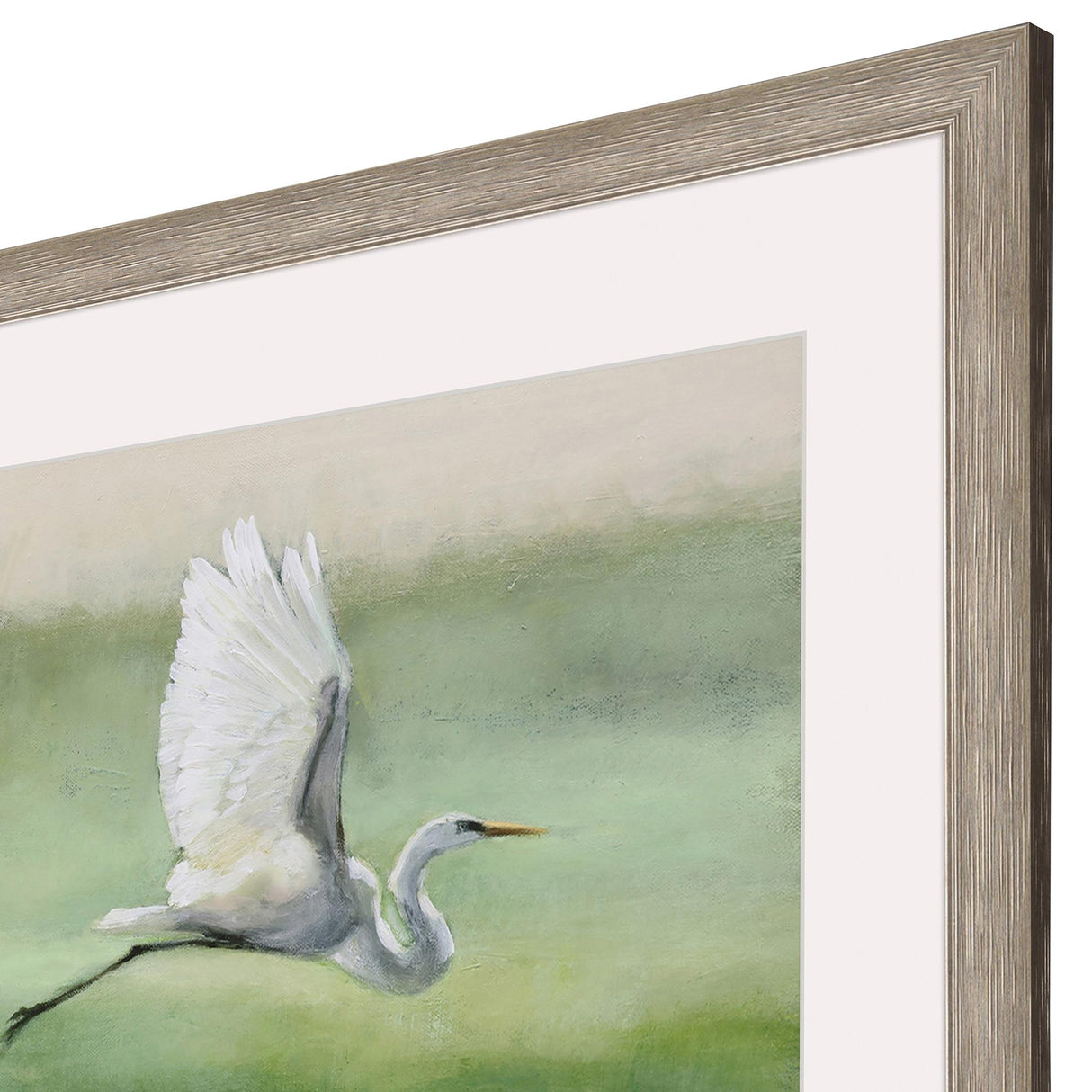 Paragon Flight Green 44 X 44 X 2 Wall Art