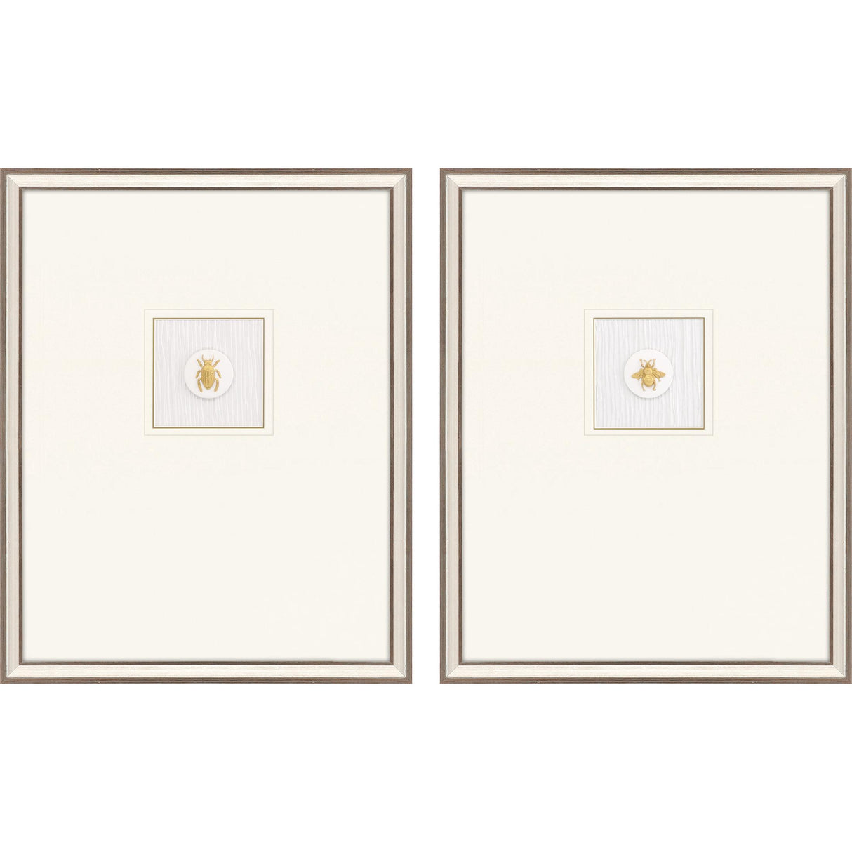 Paragon Insect Intaglio I S/2 Metallic 25 X 20 X 2 Wall Art