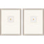 Paragon Insect Intaglio I S/2 Metallic 25 X 20 X 2 Wall Art