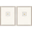 Paragon Insect Intaglio II S/2 Metallic 25 X 20 X 2 Wall Art