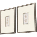 Paragon Portrait Intaglio I S/2 Beige 21 X 17 X 2 Wall Art
