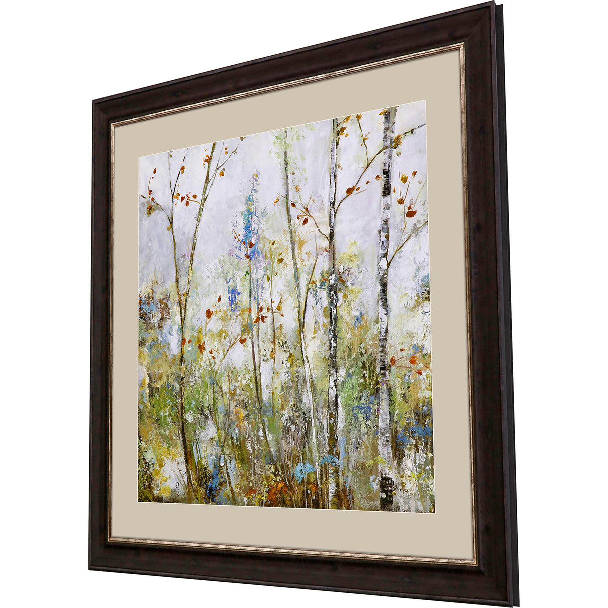Paragon Birch Forest I Green 41 X 41 X 2 Wall Art