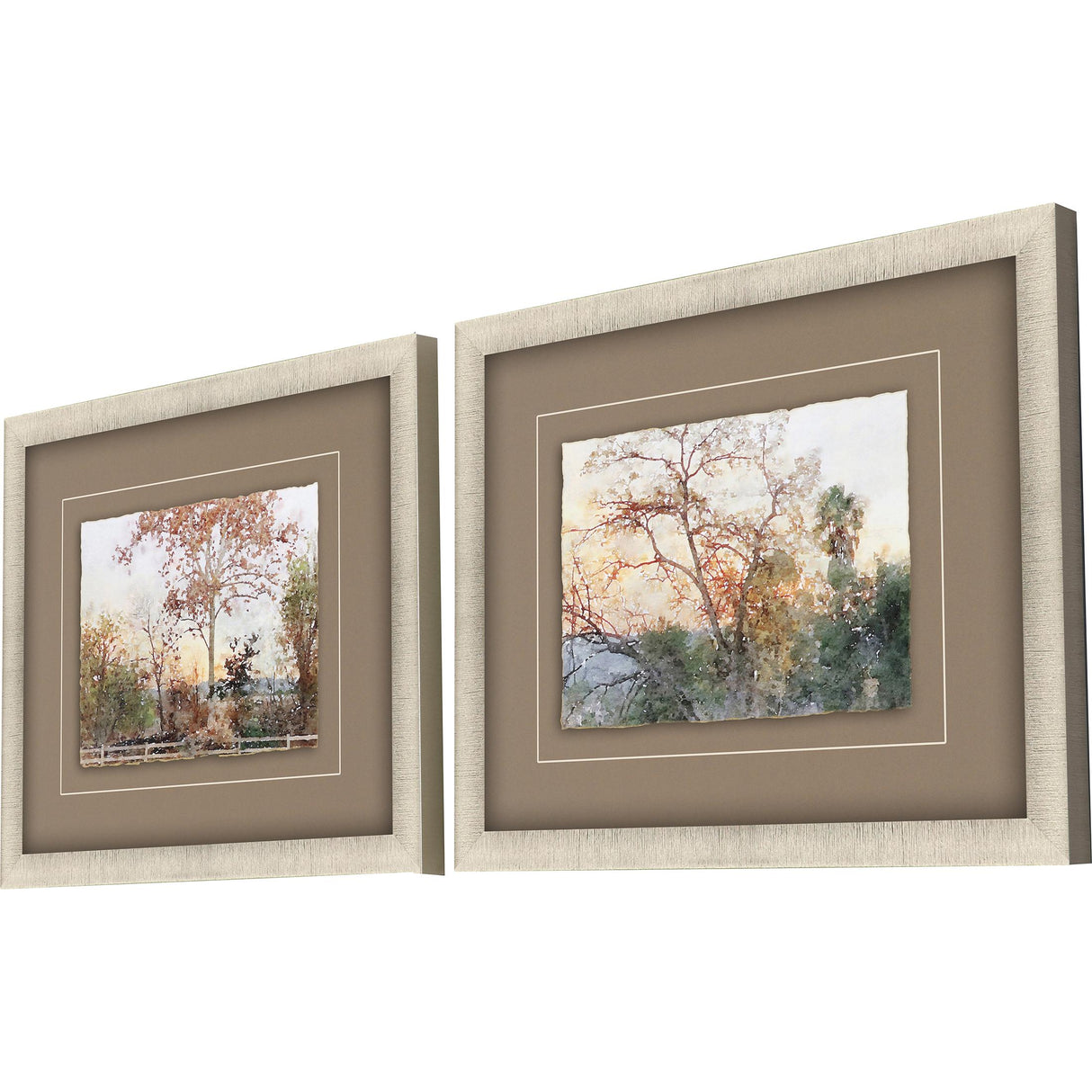 Paragon Quiet Place S/2 Green 23 X 27 X 2 Wall Art