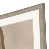 Paragon Translucent Harmony Beige 44 X 36 X 2 Wall Art