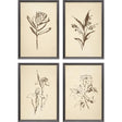 Paragon Vintage Line S/4 Brown 16 X 13 X 1 Wall Art