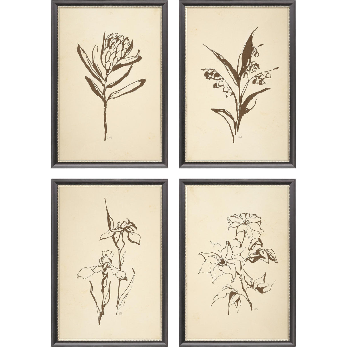 Paragon Vintage Line S/4 Brown 16 X 13 X 1 Wall Art