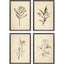 Paragon Vintage Line S/4 Brown 16 X 13 X 1 Wall Art