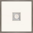 Paragon Swordfish Intaglio White 21 X 21 X 2 Wall Art