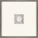 Paragon Swordfish Intaglio White 21 X 21 X 2 Wall Art