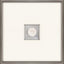 Paragon Swordfish Intaglio White 21 X 21 X 2 Wall Art
