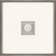Paragon Crab Intaglio White 21 X 21 X 2 Wall Art