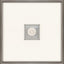 Paragon Crab Intaglio White 21 X 21 X 2 Wall Art