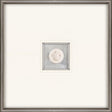 Paragon Turtle Intaglio White 21 X 21 X 2 Wall Art