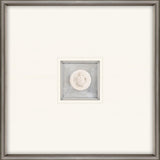 Paragon Turtle Intaglio White 21 X 21 X 2 Wall Art