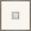 Paragon Turtle Intaglio White 21 X 21 X 2 Wall Art